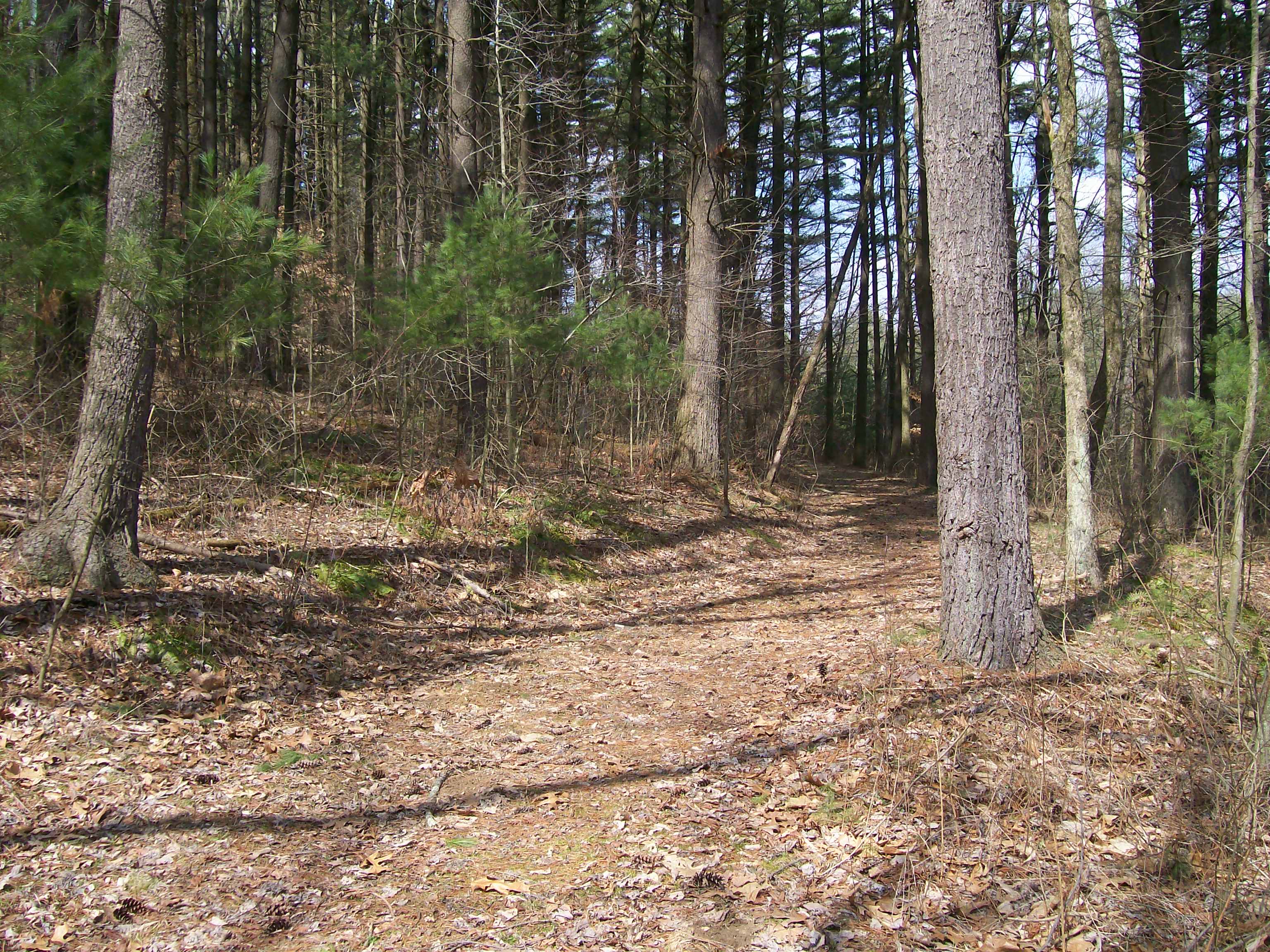 atwood park mountain bike trails