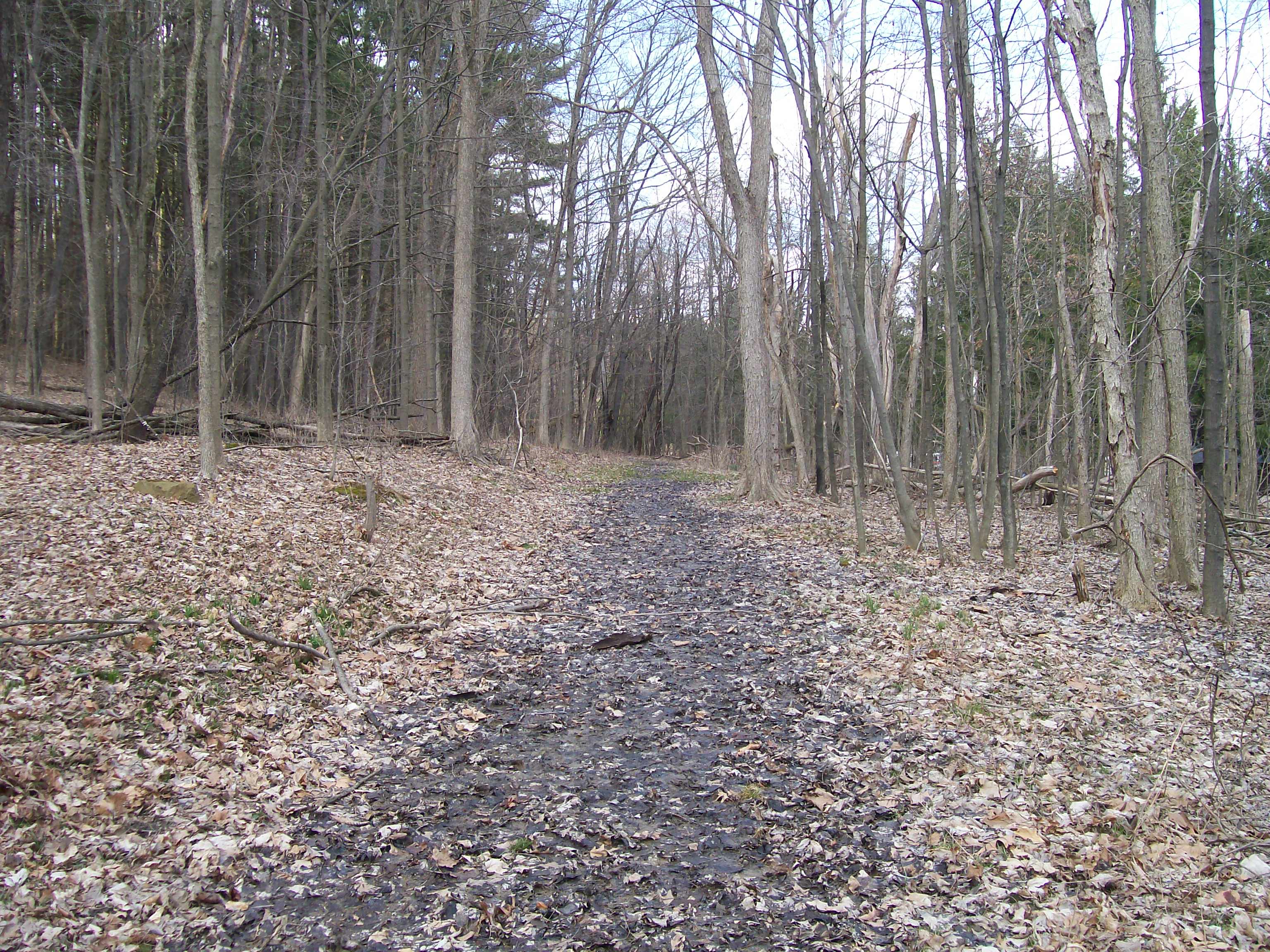 atwood park mountain bike trails